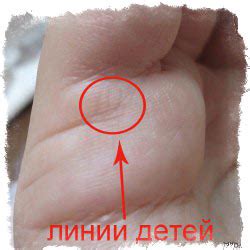 Хиромантия — линия детей и ее расшифровка