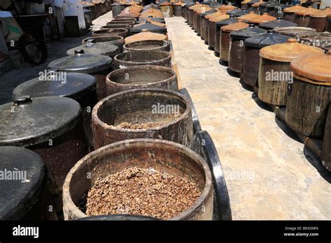 Is Soy Sauce A Fermentation Process at Jonathan Worgan blog