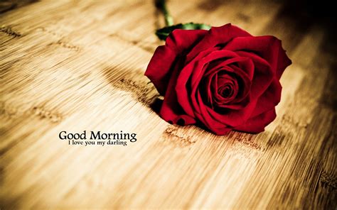 Good Morning Rose Wallpapers - Wallpaper Cave