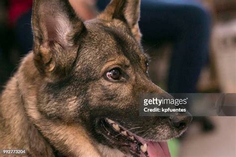 6809 Photos and Premium High Res Pictures - Getty Images