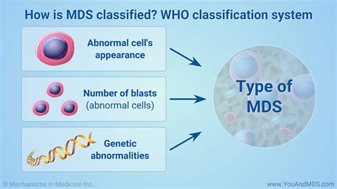 Slide Show - Diagnosis of MDS