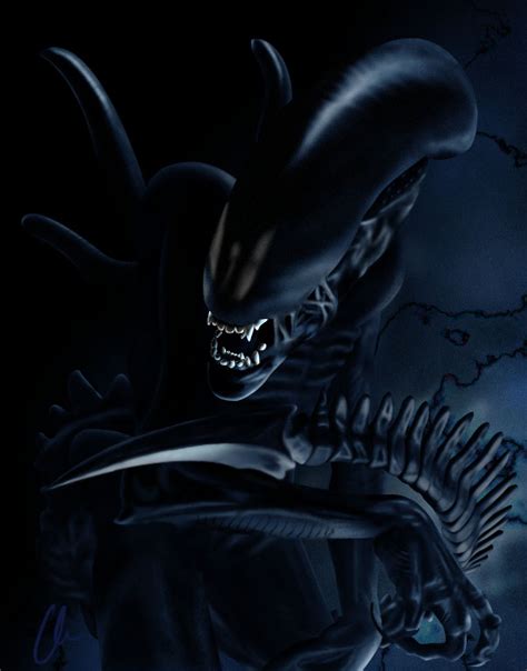 Xenomorph by challio on DeviantArt