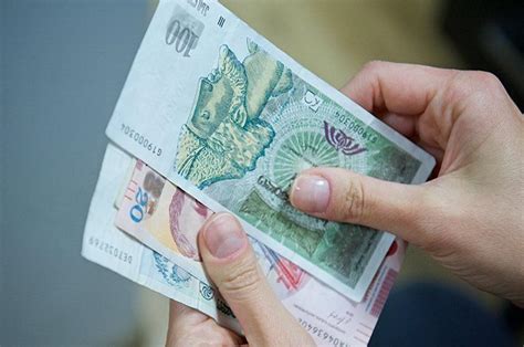 Валюта Египта. Какую валюту брать в Египет? 2025