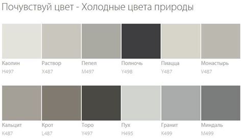 Колеровка в модные цвета (Tikkurila). | Дизайн серого интерьера ...