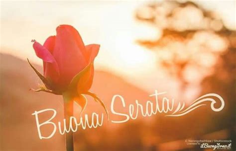 Immagini Della Buona Sera Immagini - Imagez