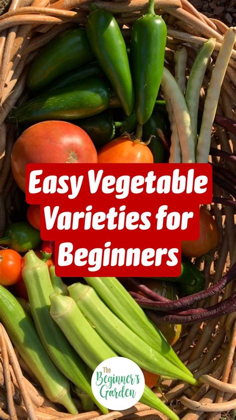 Easy Vegetable Varieties for Beginners