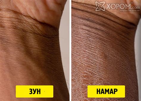 Намрын улирал эхлэхтэй зэрэгцэн хүний биед гардаг 7 өөрчлөлт. Яг юунаас ...