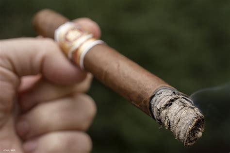 Arturo Fuente Naked Kings | halfwheel