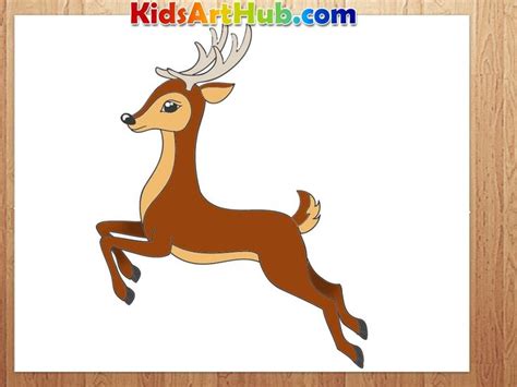 how to draw Deer