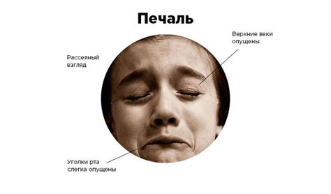 7 секретов мимики вашего собеседника