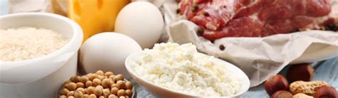 Продукты содержащие белок: список богатых растительным и животным ...
