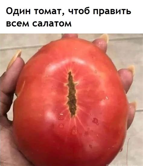 Помидор Всесалатья | Пикабу