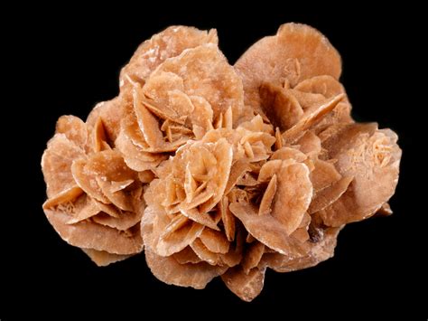 Desert Rose: Crystal of Clarity, Guidance, & Fresh Starts