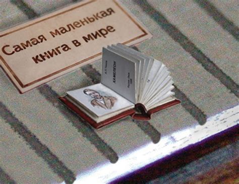 Книги-малютки | Как правильно?