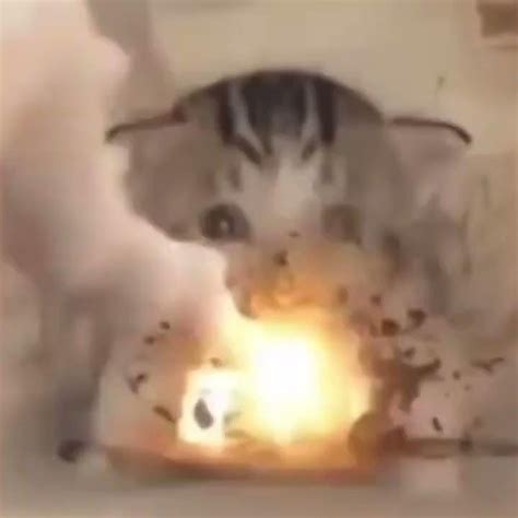 explode - Все шаблоны - Создать мем - Meme-arsenal.com