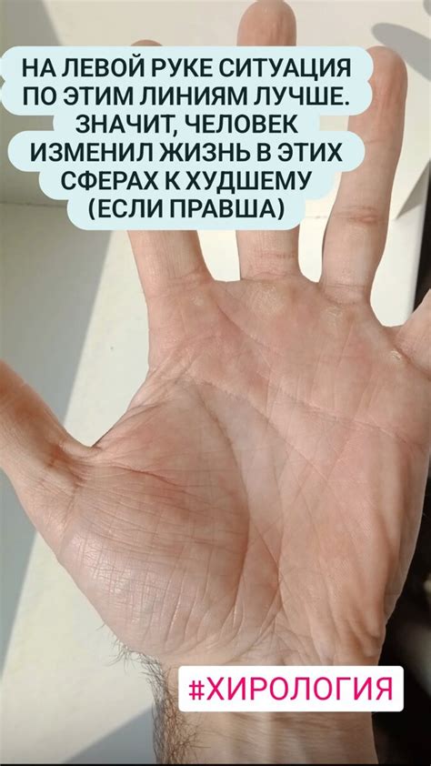 Сторис одного дня. Линии на руках. Хиромантия | Хиромантия с Василисой ...