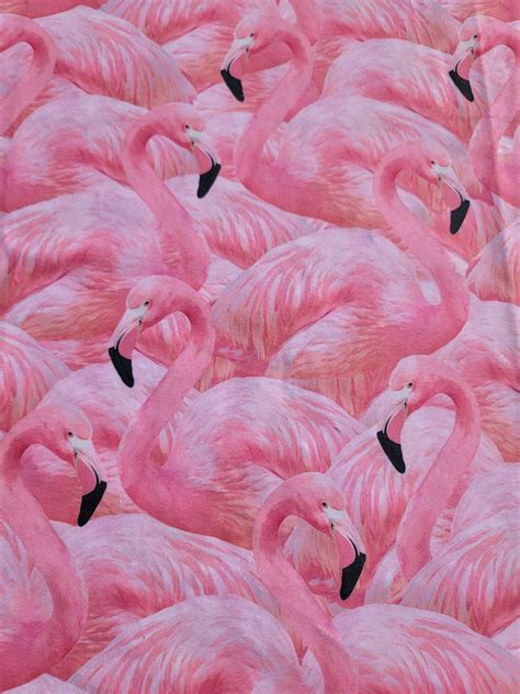 Shoppers are flocking to flamingo plaza en hialeah for a grand sale 25