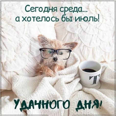 Доброе утро веселые ⋆ прикольные картинки ⋆ бесплатно