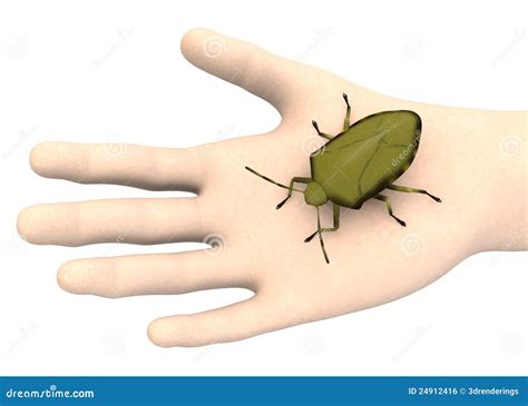 hand  sting bug stock illustration illustration  male