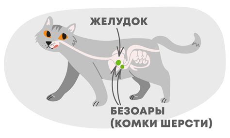 Рвота шерстью у кошек