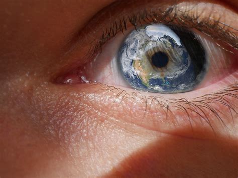 Reality is the tapestry of perception (The Return of Idealism ...