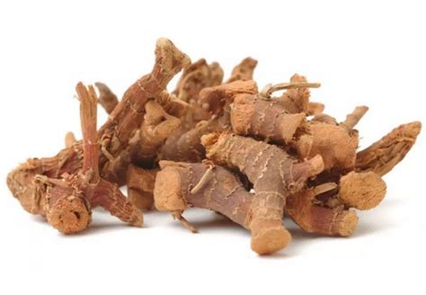 Купити Калган (Alpinia officinarum) корінь сушений - 50 грам, КК-02С ...