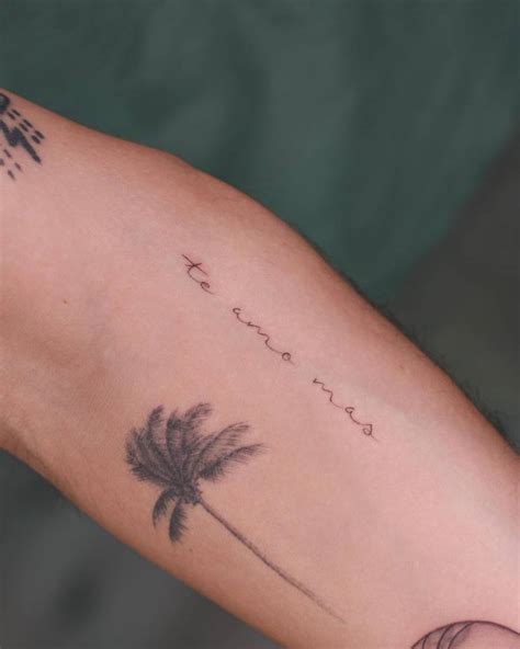 Fresh "te amo mas" and healed palm tree (3-4years)
