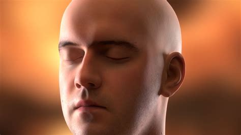 gpu rendering     graphics card  rendering