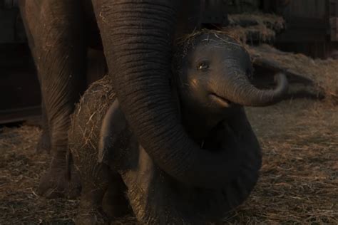 DUMBO: une deuxième sublime bande-annonce est sortie