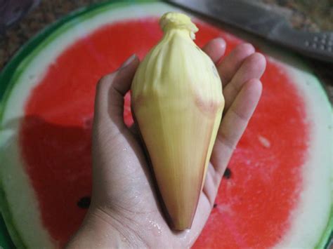 Como Preparar O Coração Da Banana Para Diabetes - Como preparar coração de bananeira - Jornada Vegana