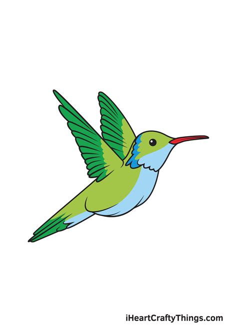 Hummingbird Drawing — How To Draw A Hummingbird Step By Step