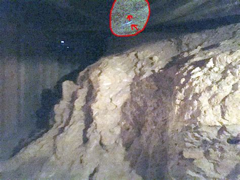 Gabriel Kuhn Crime Scene: The Unsolved Mystery That Keeps Us Up At Night Image 14