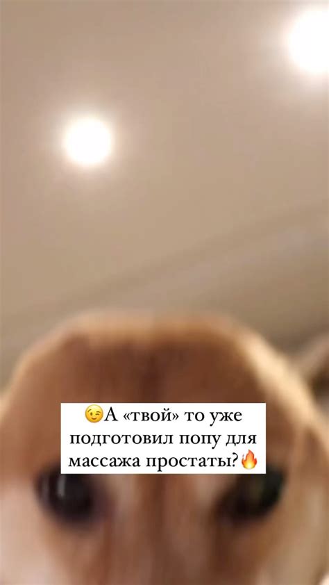 Instagram video by ГИНЕКОЛОГ УРОЛОГ КРАСНОДАР • Dec 20, 2024 at 5:16 AM