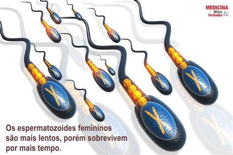 Dicas para escolher o sexo do bebê | Medicina - Mitos e Verdades