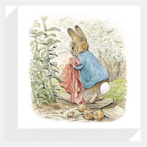 Peter Rabbit Watercolor at PaintingValley.com | Explore collection of ...