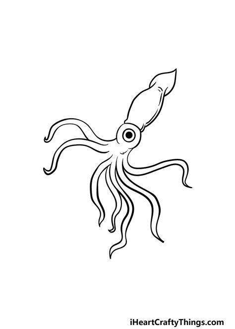 Easy Squid Drawing