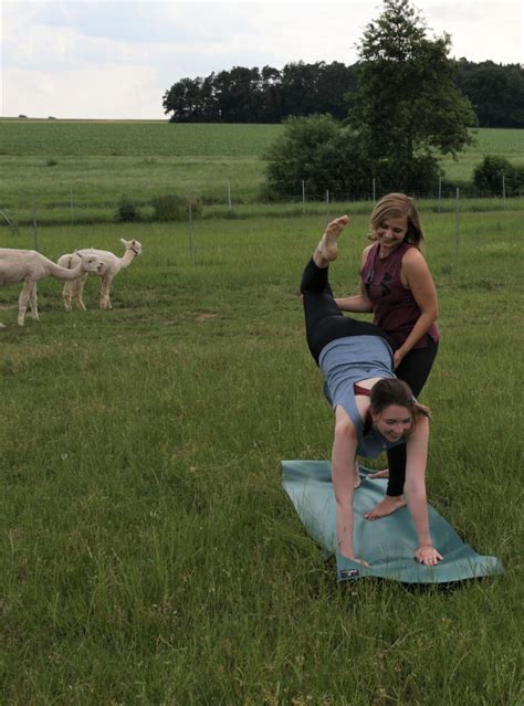 Yoga auf der Alpakawiese - Vane's Jump and Flow