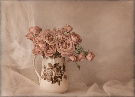 Autumn's Last Roses - Serena P Charlebois