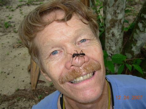 Sebastian Krahl - The Schmidt Pain Index is one of the... | Facebook