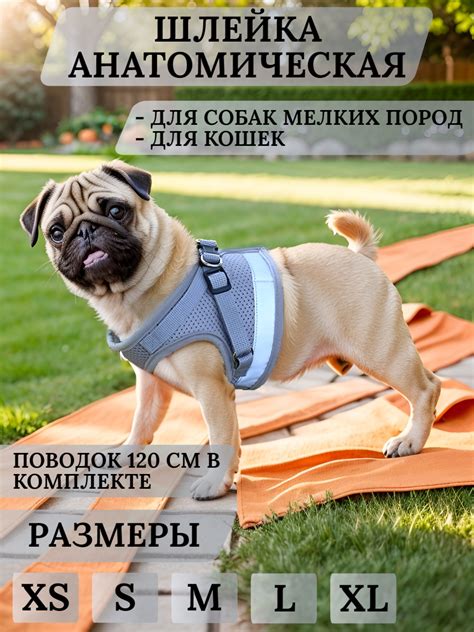 Шлейка-жилетка для кошки — купить по низкой цене на Яндекс Маркете