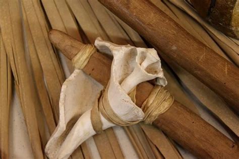Archeologists Excavate Calusa Artifacts In Marco Island | Archeologist ...