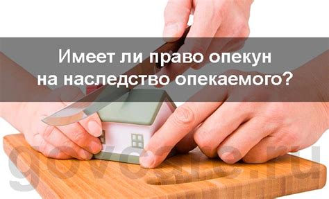 Право опекуна на наследство опекаемого: к какой очереди относится