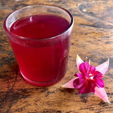 Horchata: A Traditional Ecuadorian Drink – Sierra y Cielo