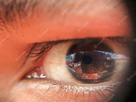 Premium Photo | Macro Eye photo