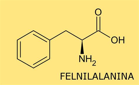 O Que E Fenilalanina