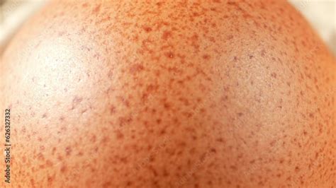 captivating macro video captures  mesmerizing beauty  fresh egg