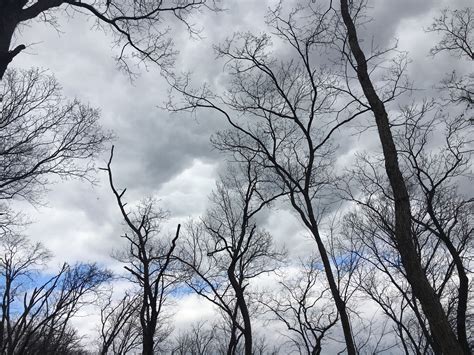 Grand Bluffs Conservation Area - Missouri | AllTrails