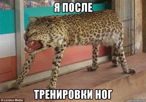 Картинки смешные про тренировки | | Drasler