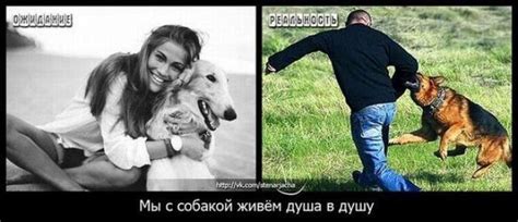 Ожидание VS реальность