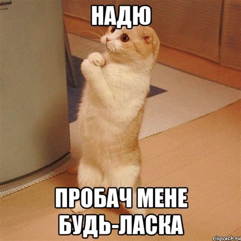 Надю пробач мене будь-ласка, Мем котэ молится - Рисовач .Ру